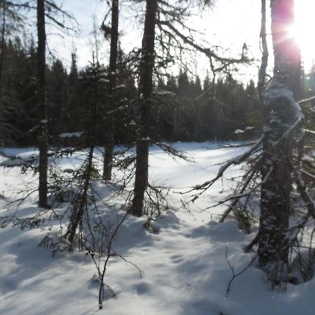 Residence Touristique Lodge Des Bois Saint-Félix-d'Otis Eksteriør billede