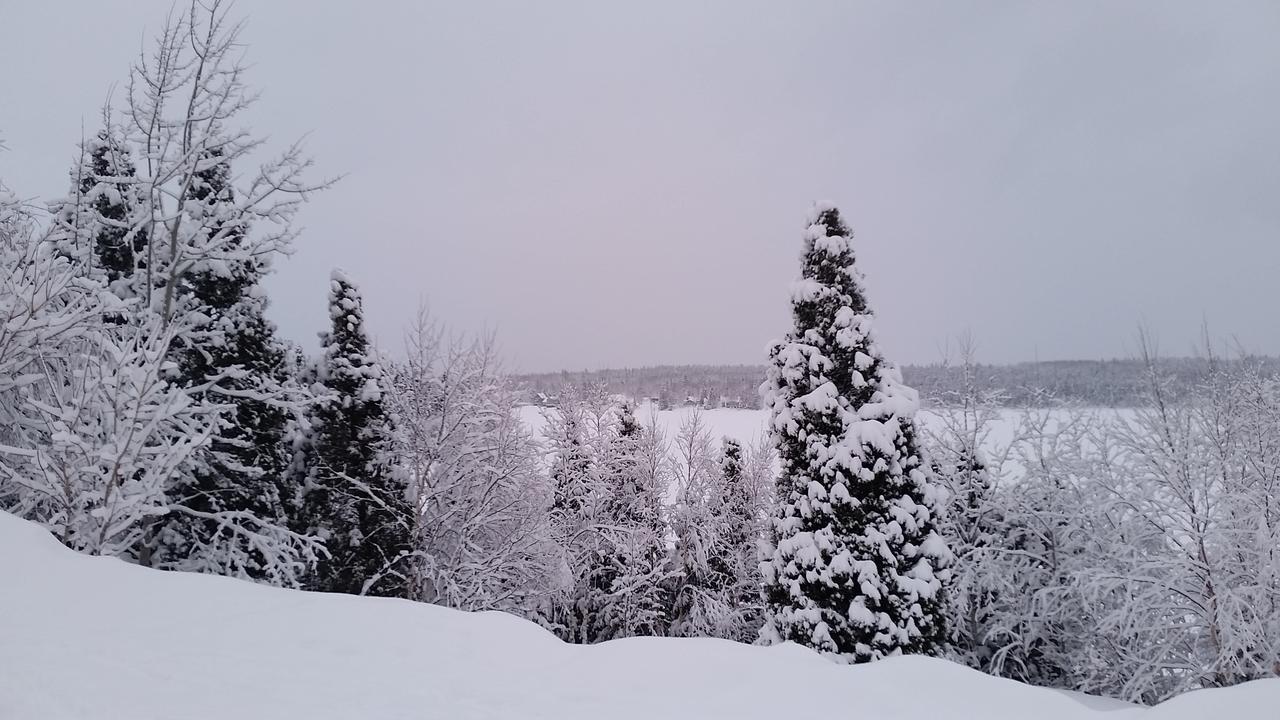 Residence Touristique Lodge Des Bois Saint-Félix-d'Otis Eksteriør billede